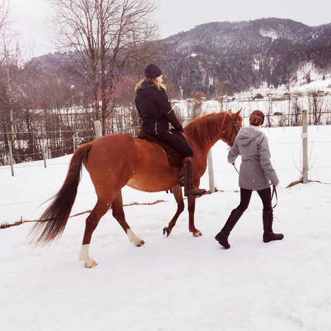 Pferde-Inspiration im Winter